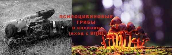 COCAINE Белоозёрский